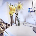 Bed & Breakfast Eridu 3*