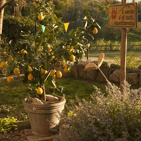 B&B Eridu Bed & Breakfast